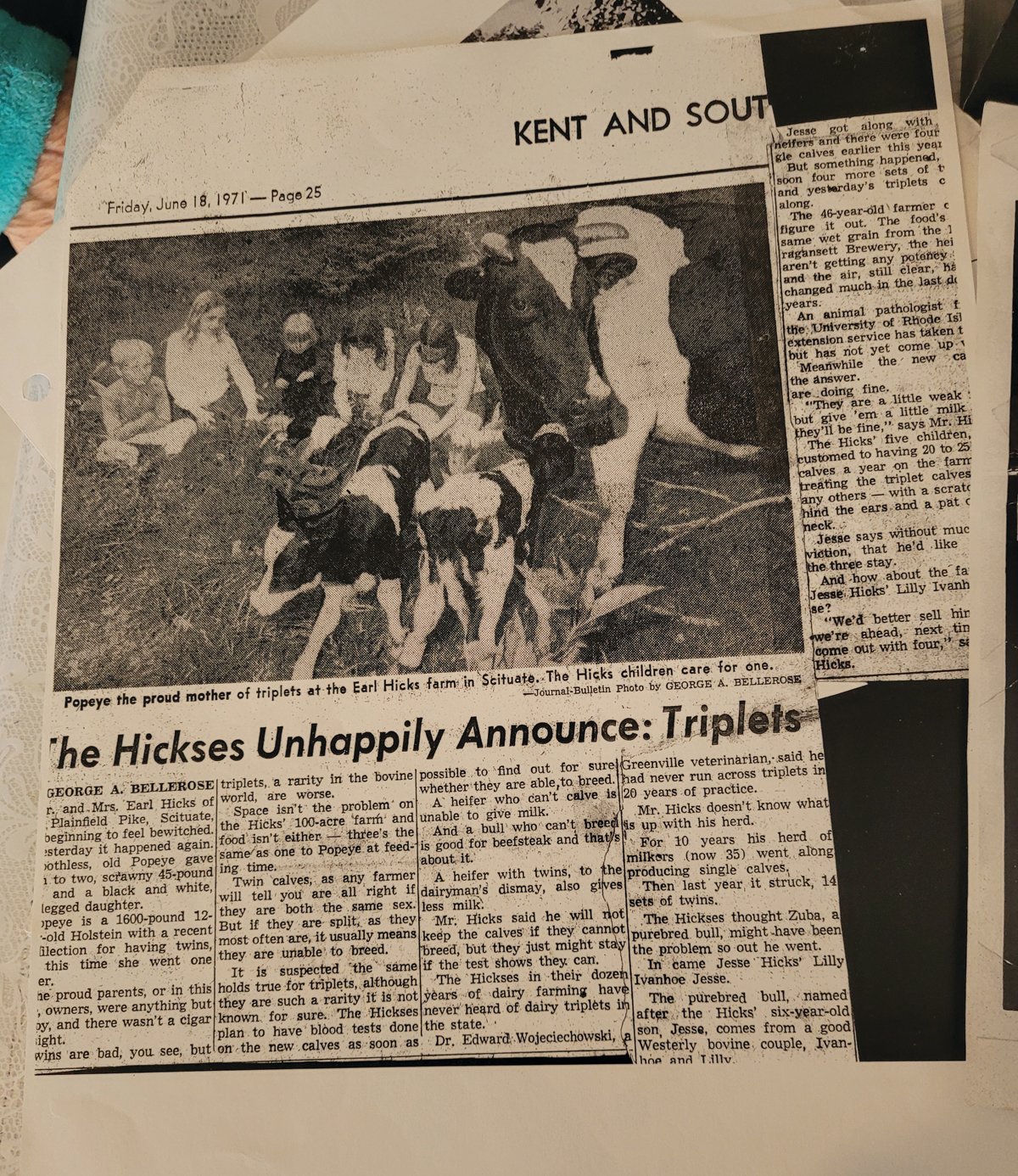 THREE BABY MOOS: One poor mother cow made headlines when it birthed triplets — a rare occurrence for a heifer. The event led to a big story in the Providence Journal, headlined, “The Hickses Unhappily Announce: Triplets.”